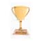 12 Pack: Trophy Dimensional Sticker by Recollections™